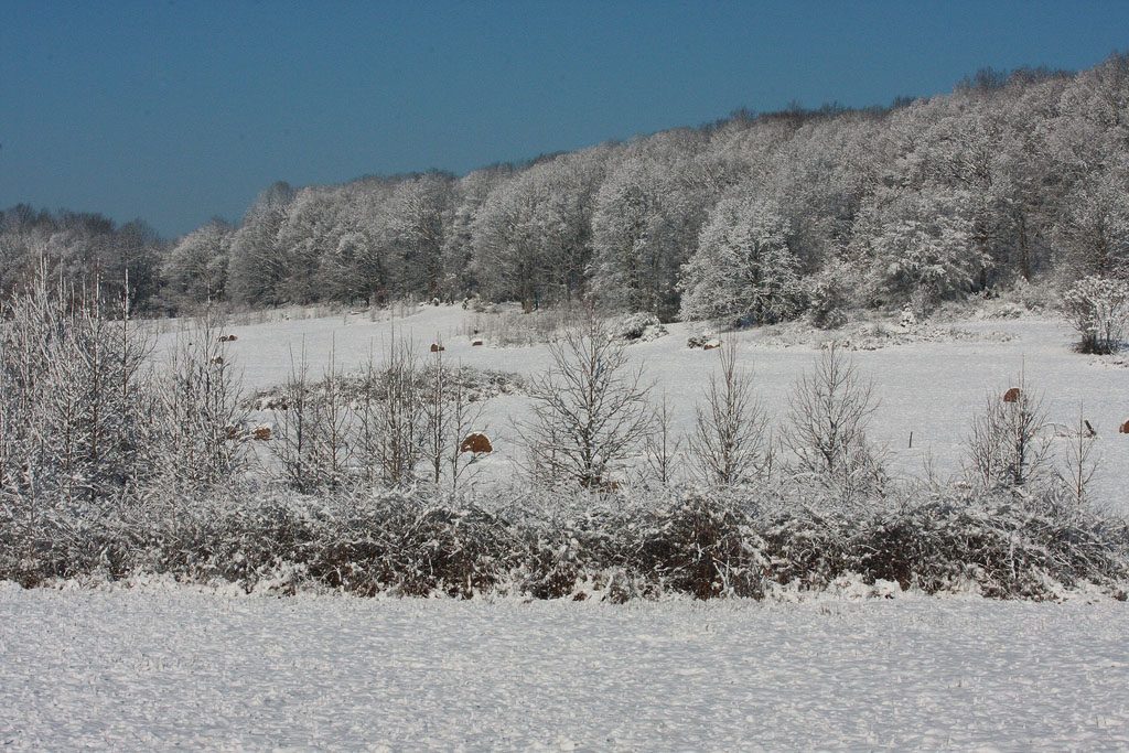 Winter morning on Vaughter's Farm at Panola Mountain. Photo courtesy Her Friend Dave on Flickr.